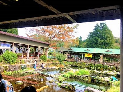 20191027 ニジマス_191030_0026