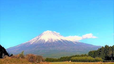 IMG_7432 - コピー