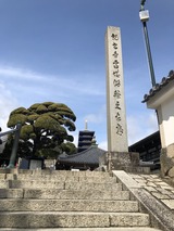 IMG_4456