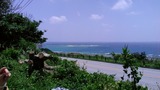 海