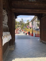 IMG_4455