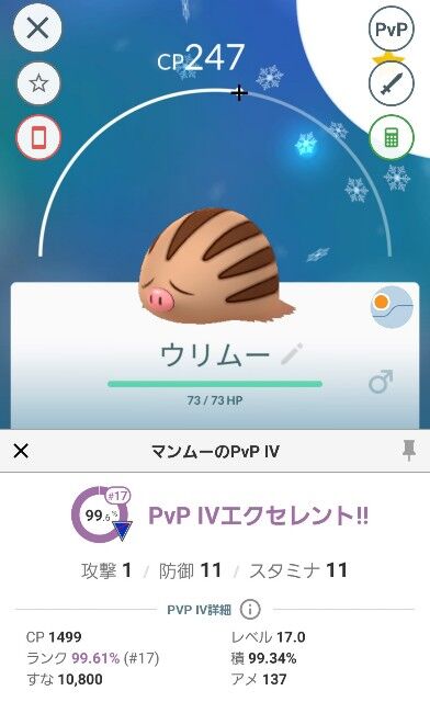 ポケモンgo ウリムーのスポットライトアワーは超本気案件 レベルに関係なく全員ガチるべし ろいアンテナ ポケモンgo ウリムーのスポットライトアワーは超本気案件 レベルに関係なく全員ガチるべし ろいアンテナ
