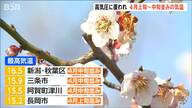新潟の梅まつり：春の訪れを感じる癒しの散策
