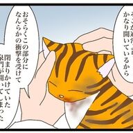 保護した仔猫の悲しい真実：意図的な怪我と向き合う