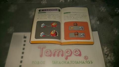 DigDug013