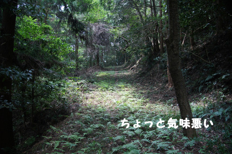 駅間三歩@楚原-麻生田41