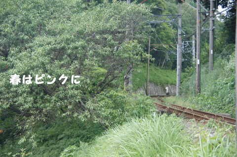 駅間三歩@楚原-麻生田33