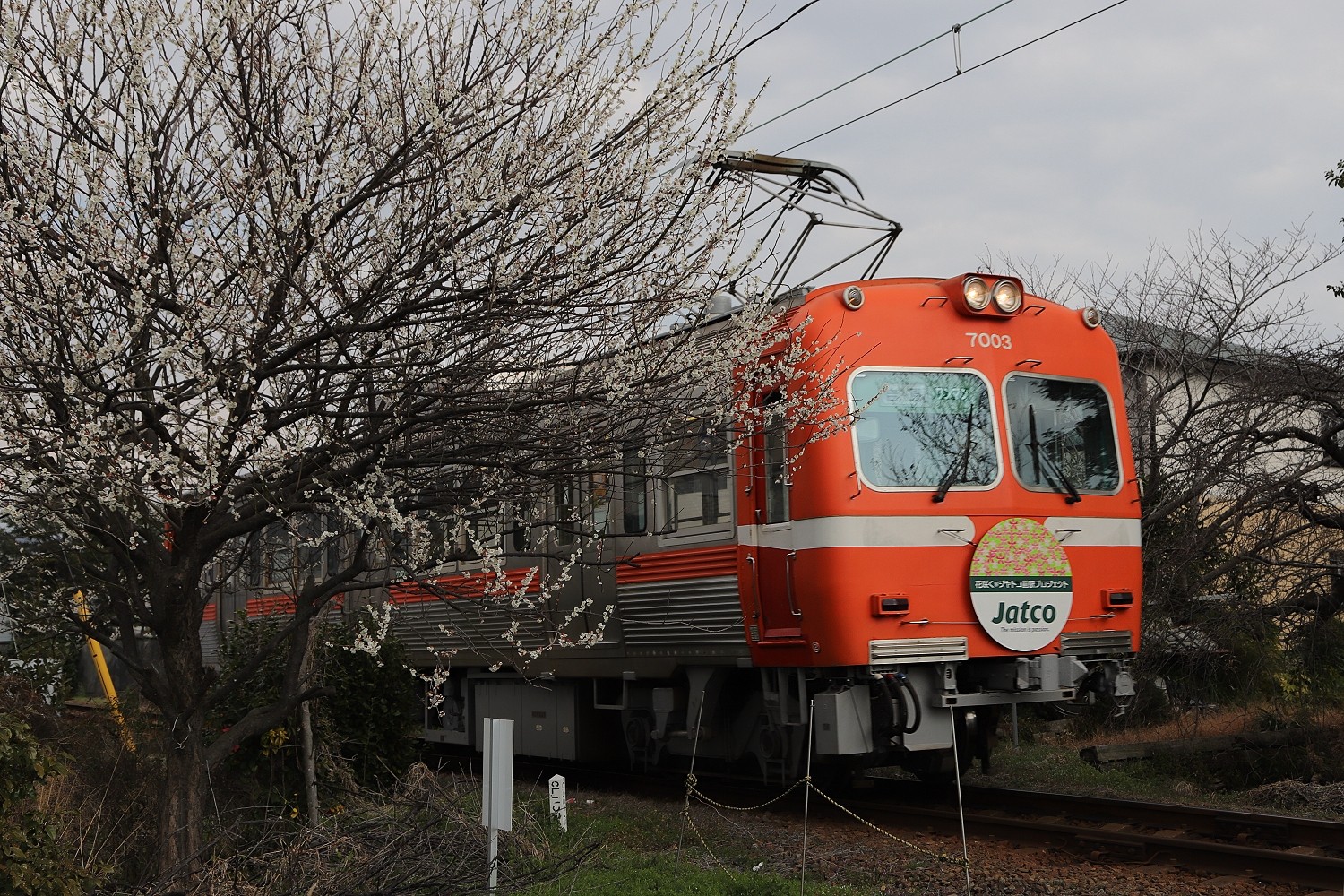 がくなん 岳南電車の電車 たむ道楽