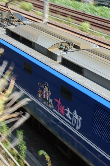 250831-6L4A0553