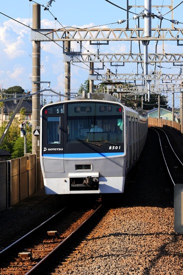 k3117
