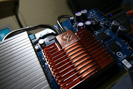 7f838075.jpg