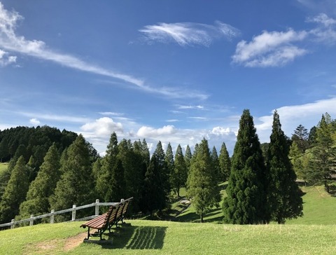 1909060040