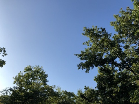 1909170012