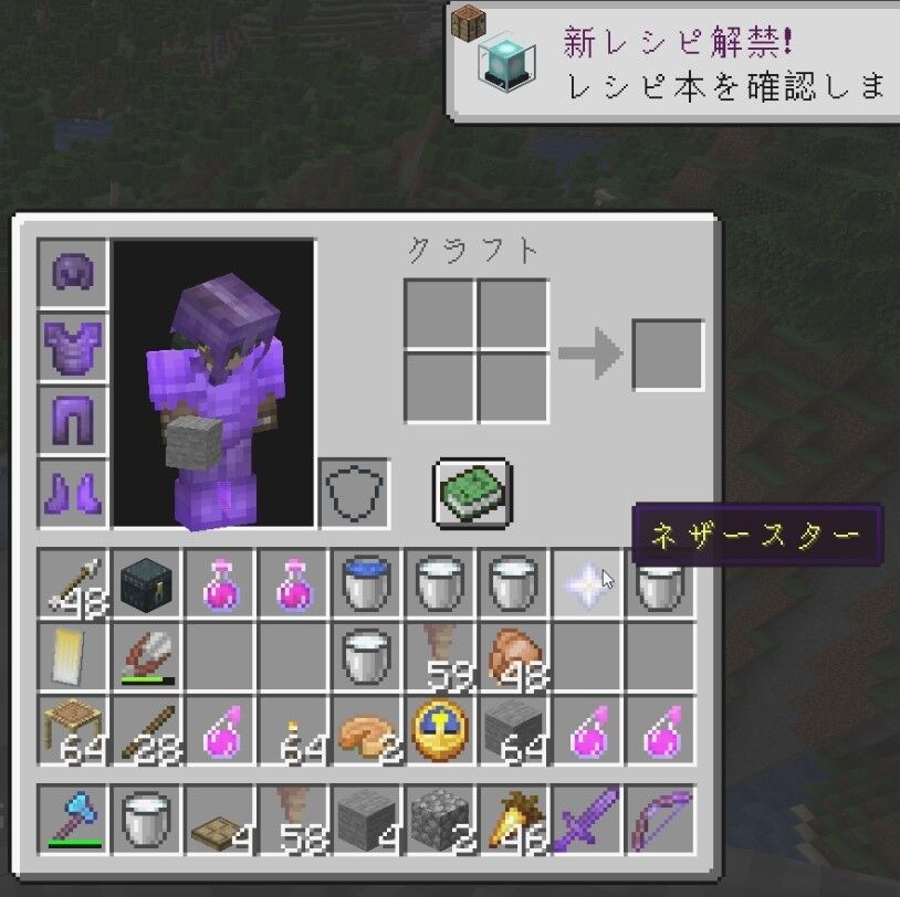 ウィザーを倒してみた この地で暮らすよ