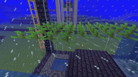 009
