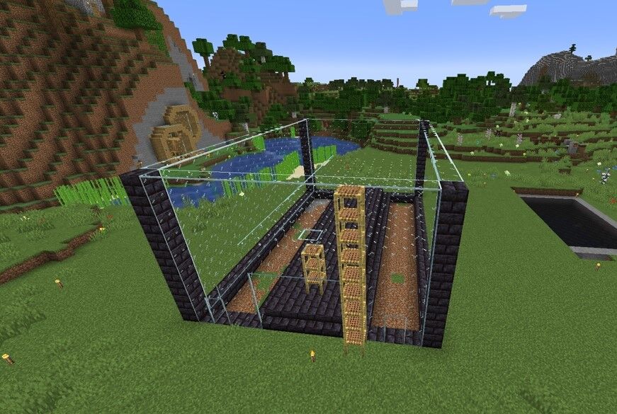 トンネル水槽 この地で暮らすよ トンネル水槽 この地で暮らすよ