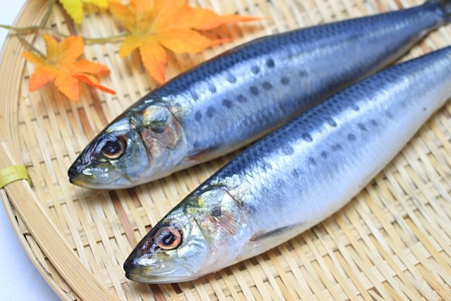 簡単 魚のシビ刺身 漬け レシピ チェリーのblog