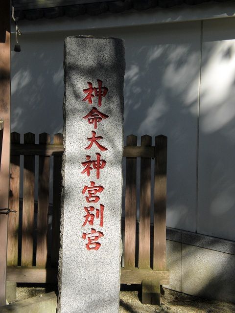 CIMG1693