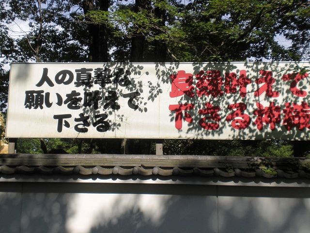 CIMG1668