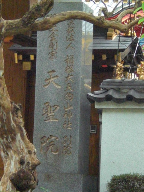 CIMG1753