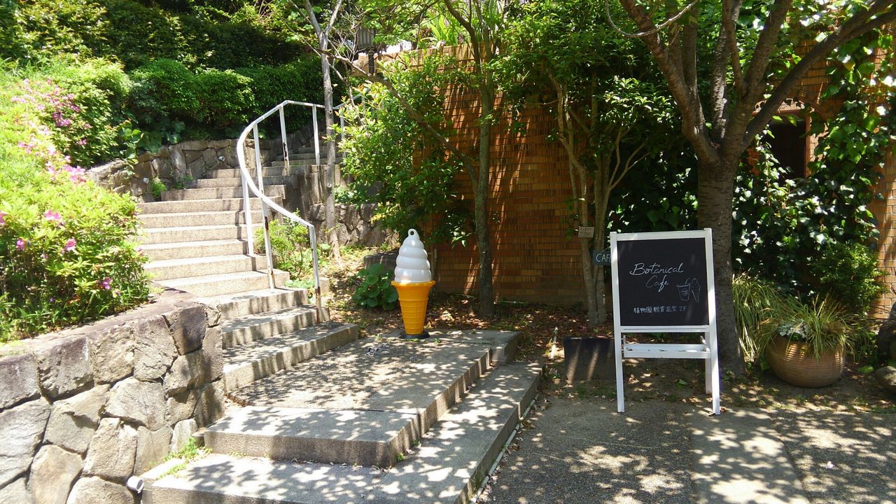 神戸 須磨離宮公園 ニューオープンの植物園カフェ たぁなぁのカフェ日和