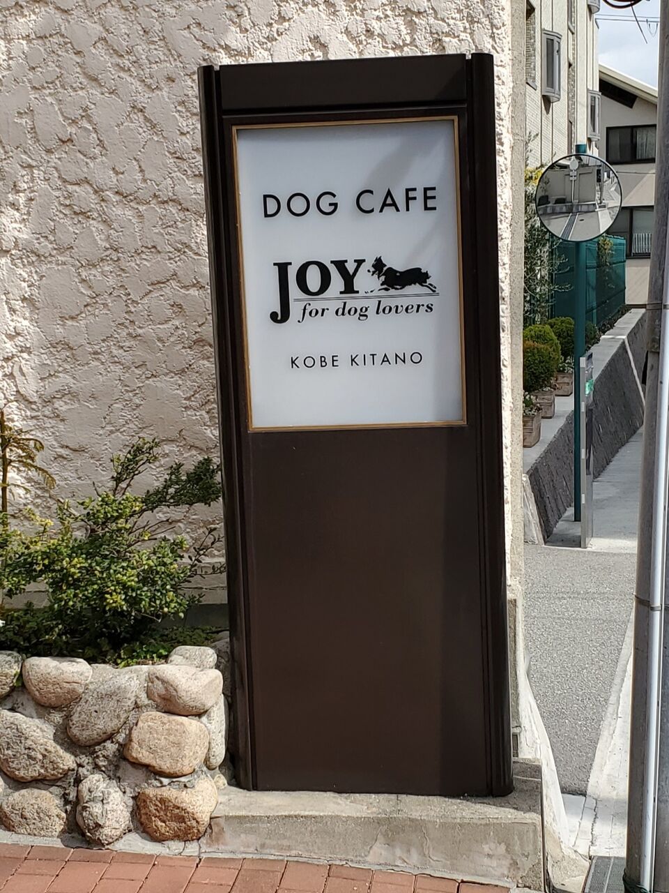 神戸 北野 異人館街のドッグカフェ たぁなぁのカフェ日和 神戸 北野 異人館街のドッグカフェ たぁなぁのカフェ日和