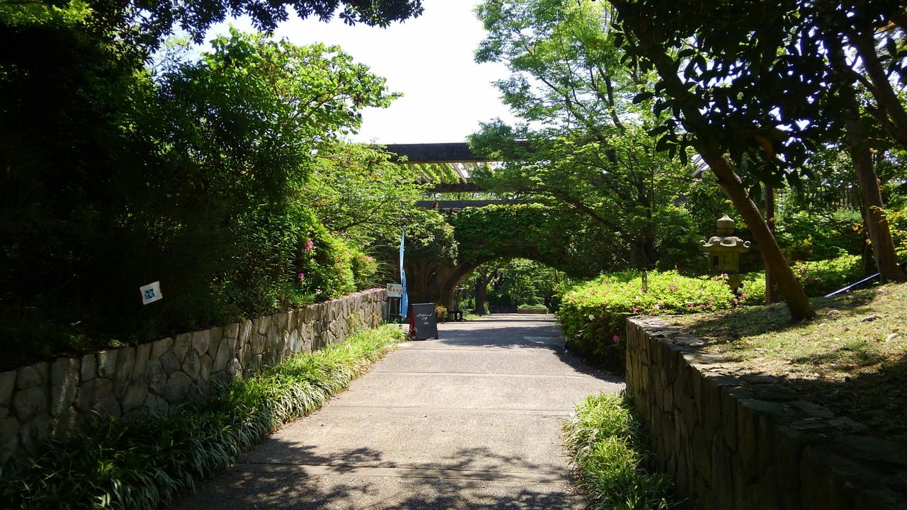 神戸 須磨離宮公園 ニューオープンの植物園カフェ たぁなぁのカフェ日和 神戸 須磨離宮公園 ニューオープンの植物園カフェ たぁなぁのカフェ日和