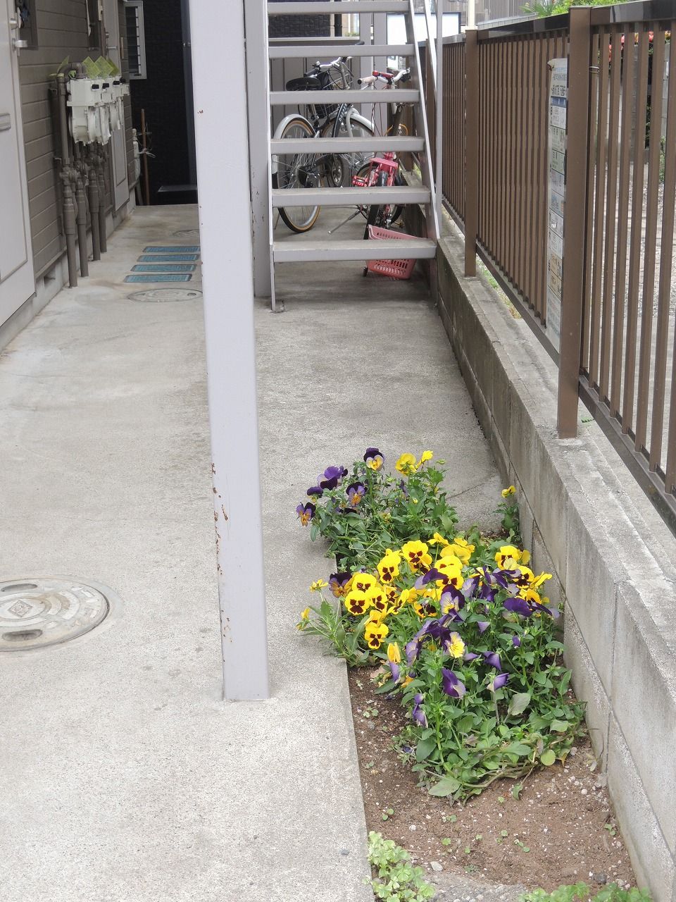 030.jpg