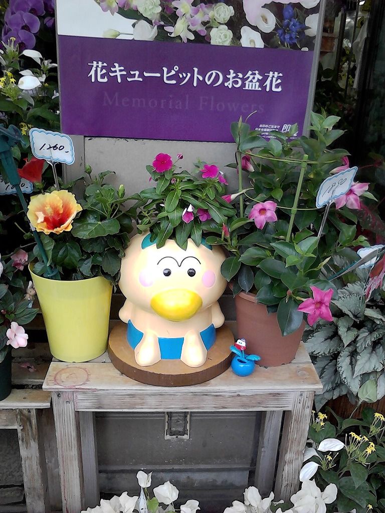 熱海で はなかっぱをテーマにした街歩きイベントを開催中です 熱海の新たな成長へ向けて 元 副市長 田邉のブログ