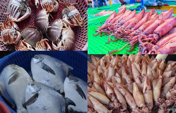 魚1