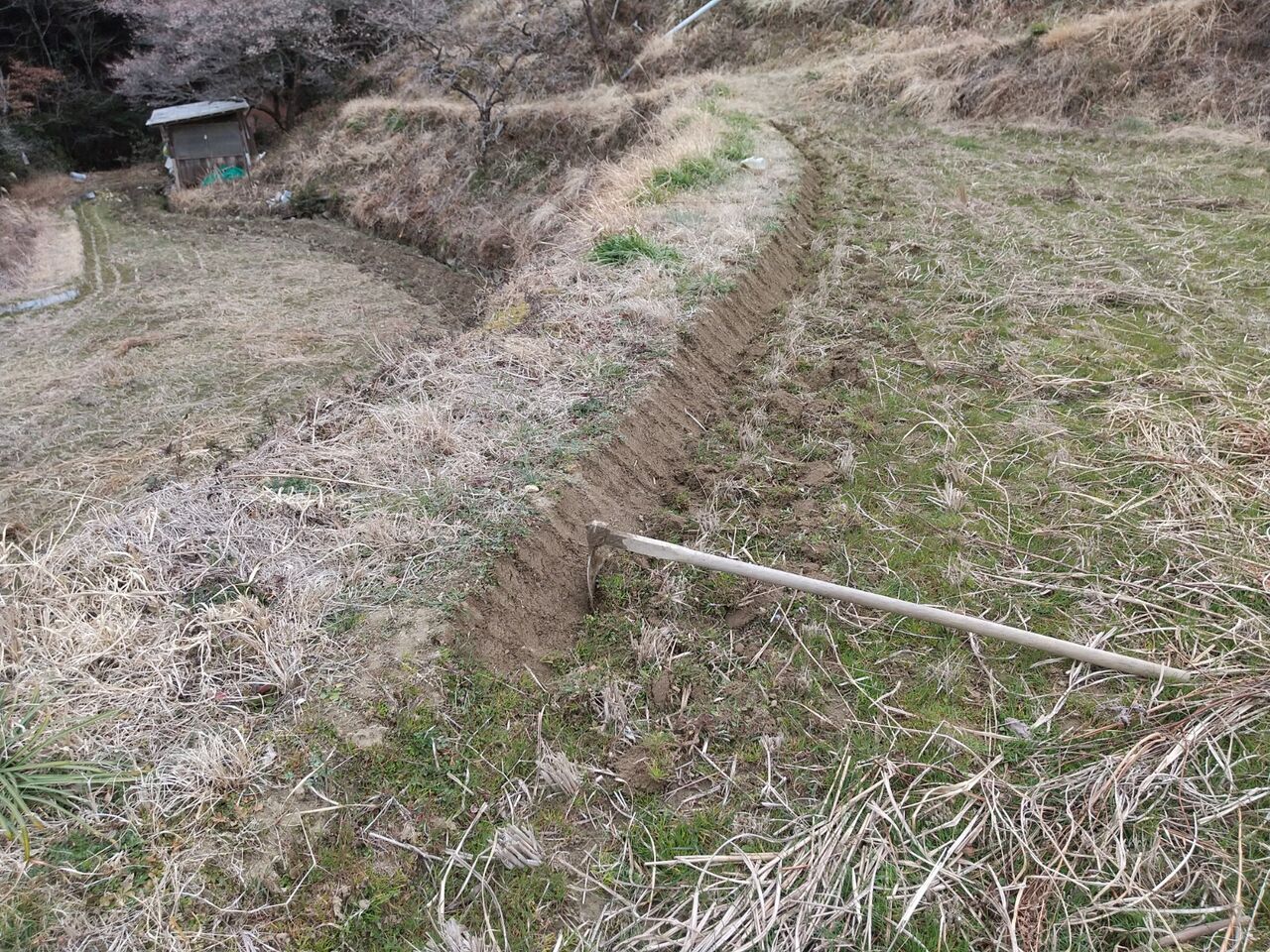 畦切と畦波板交換やっと終了 : ふんぼうの 棚田日記