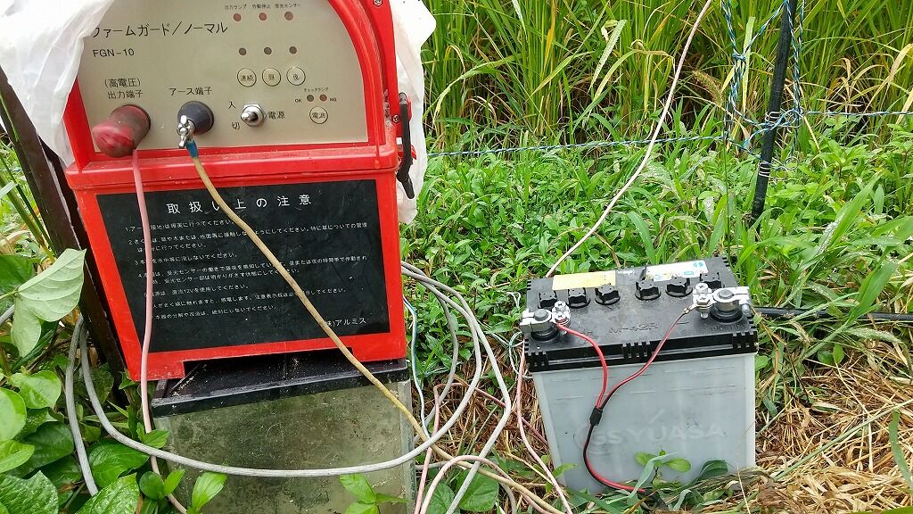 イノシシ 被害防除の 電気柵 を設置 ふんぼうの 棚田日記