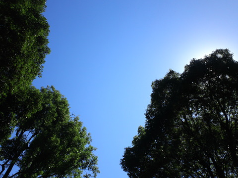 SN3P0011
