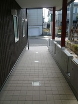 ���ץ��ݥ�