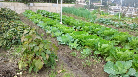 2011,11,13⑪
