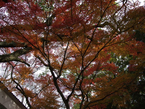 2011,11,27⑲