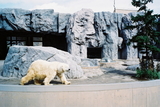 4cc29d13.jpg