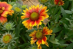20100620P1170104
