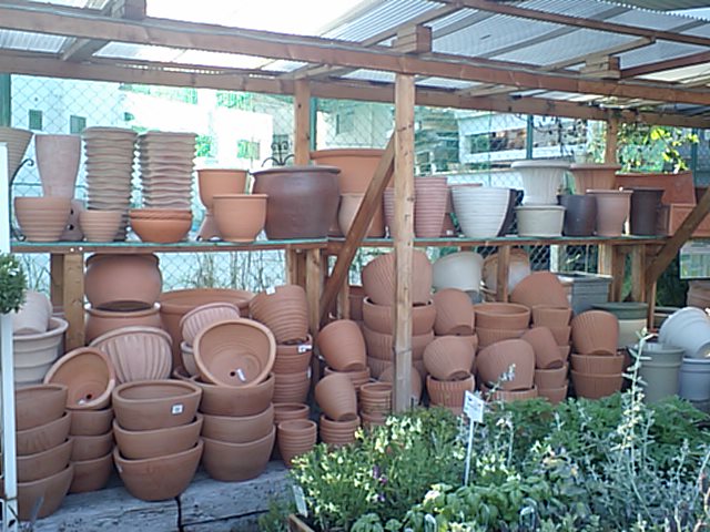 鉢置き場 園芸屋 たなか 鉢置き場 園芸屋 たなか