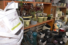 20110219P1200540
