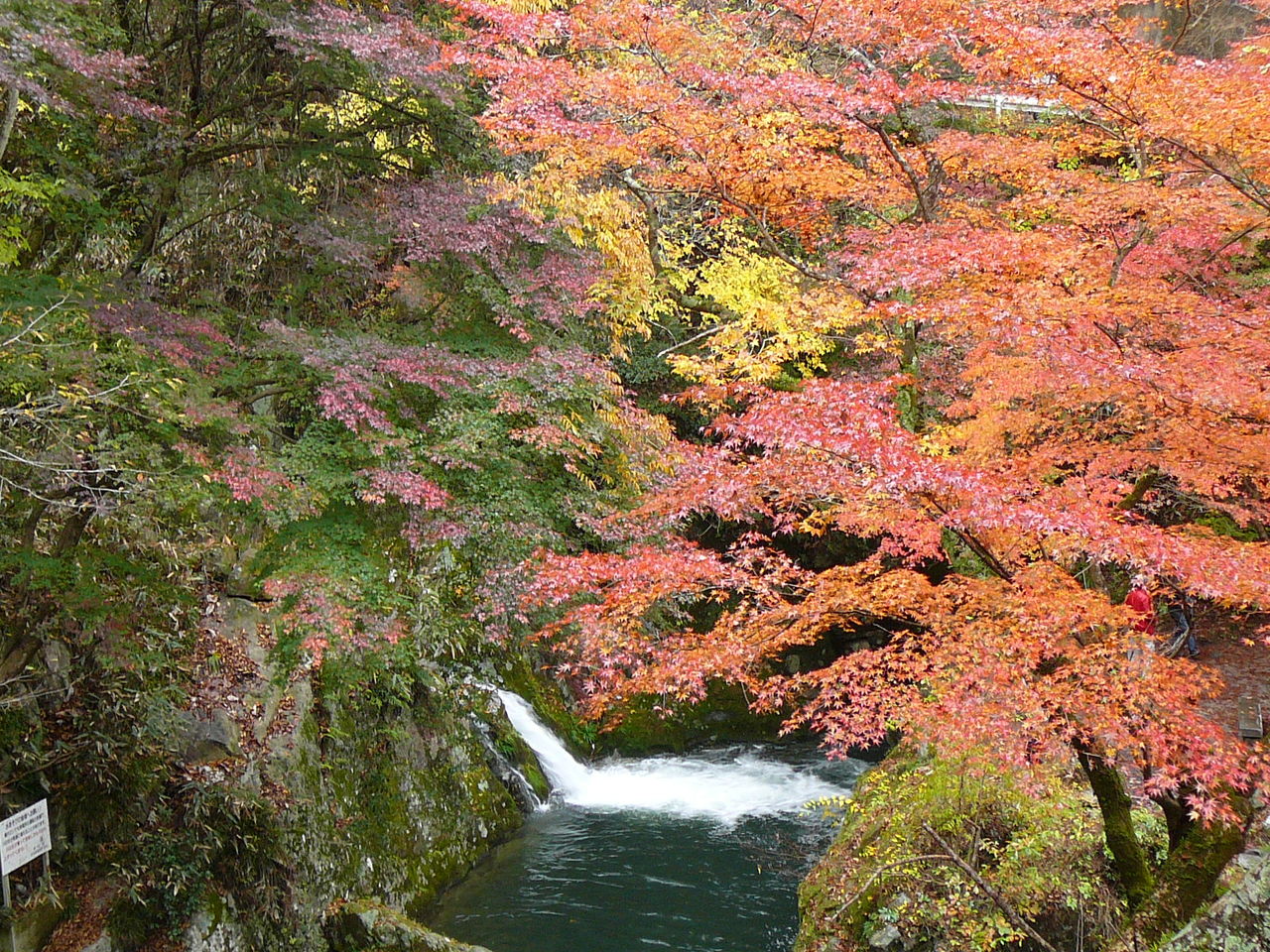 行ってきました花貫渓谷、袋田の滝、竜神峡 : hiroshi-Tのblog