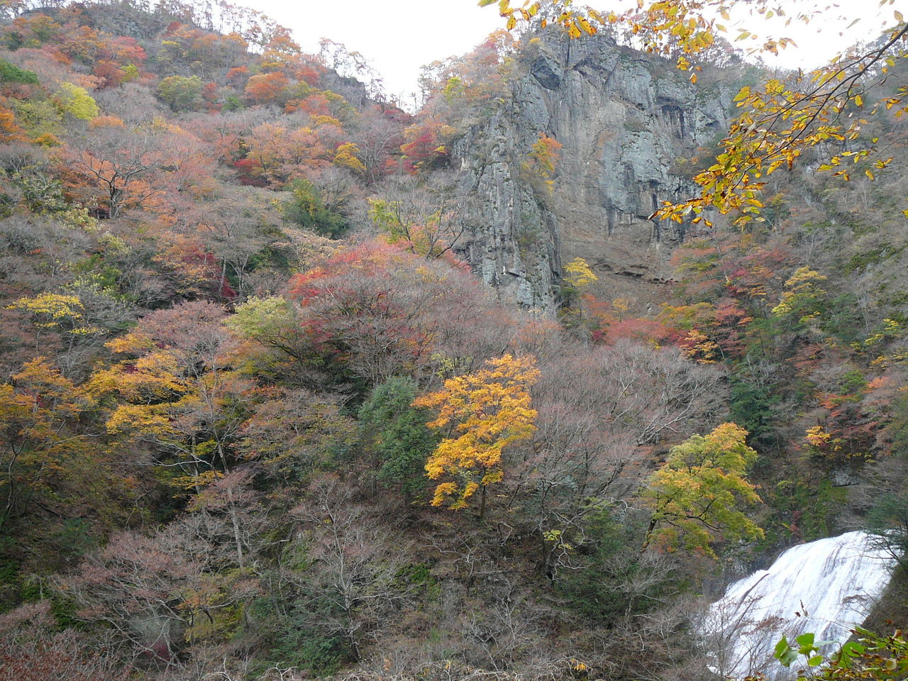 行ってきました花貫渓谷、袋田の滝、竜神峡-その2 : hiroshi-Tのblog