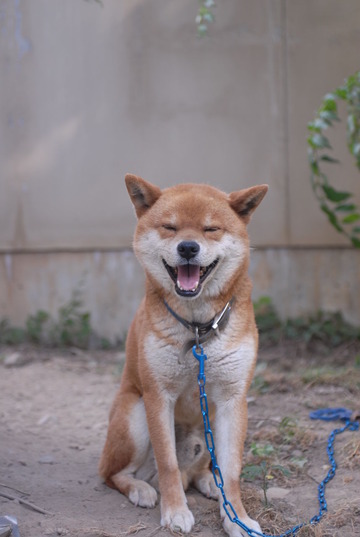 DSC_4938