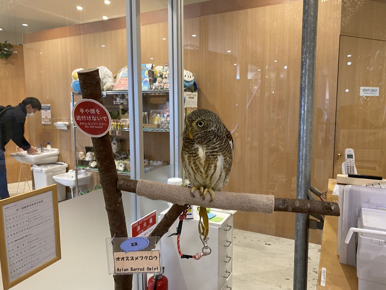 久しぶりのサーフィン 充実の休日 田中歯科医院スタッフブログ