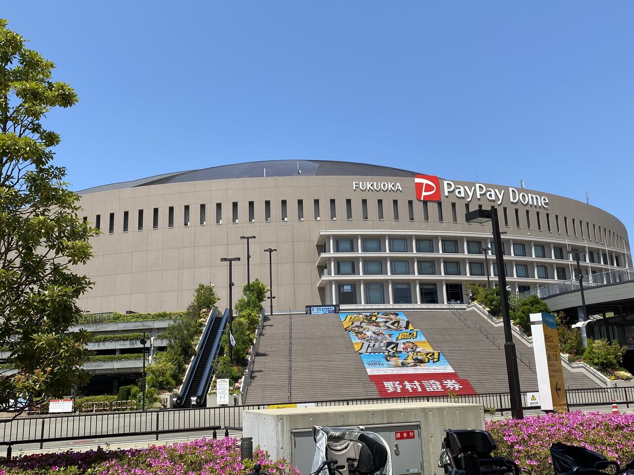 名探偵コナン 緋色の弾丸 を観ました 田中歯科医院スタッフブログ 名探偵コナン 緋色の弾丸 を観ました 田中歯科医院スタッフブログ