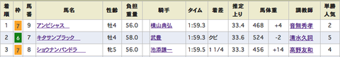 日曜勝負レース回顧やんw