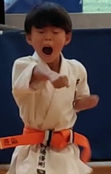 18249