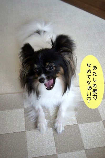 07DSC01438