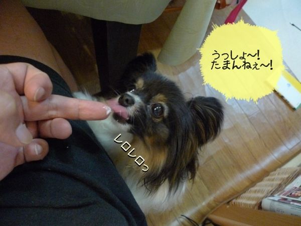 09P1160601