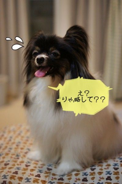11DSC06719